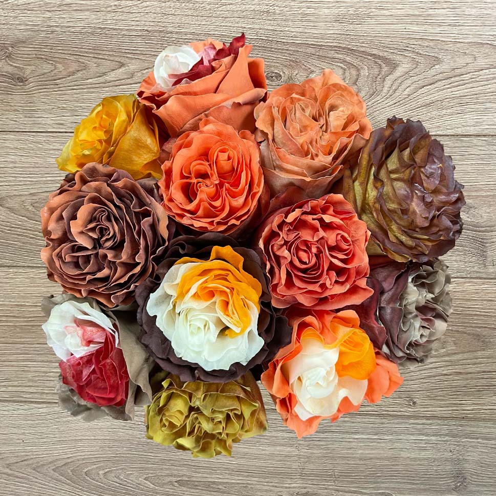 Orange and Brown Roses - Cafe Tacuva Bouquet by Rosaholics